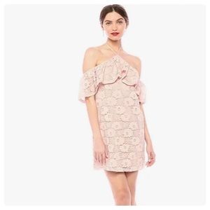 NEW Jack by BB Dakota Misty Rose Lace Dress